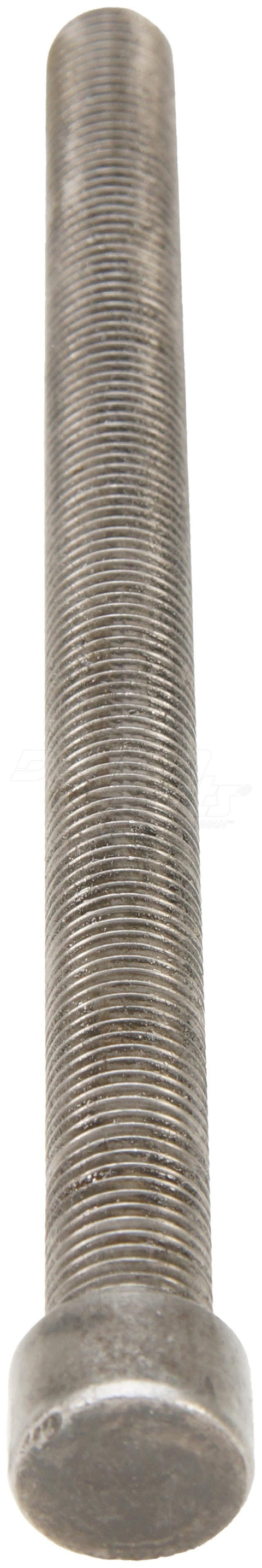 Dayton Parts CB-7660K Center Bolt And Nut