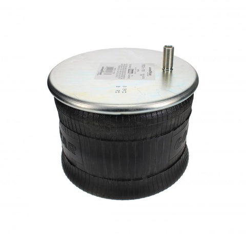 Pai 0713 Infinity 1R13-119 Air Spring