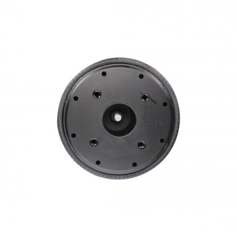 Pai 0713 Infinity 1R13-119 Air Spring