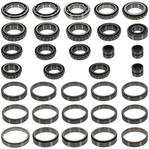 Pai 8955 Na Bearing And Seal Kit