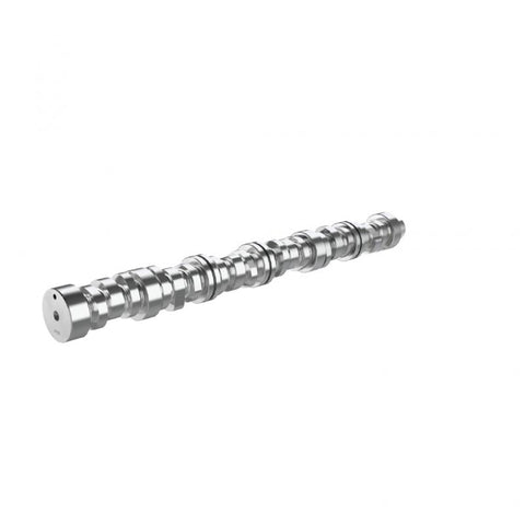 OEM 8999OEM CAMSHAFT