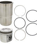 GENUINE PAI 8917 LINER KIT