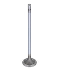 GENUINE PAI 8146 EXHAUST VALVE