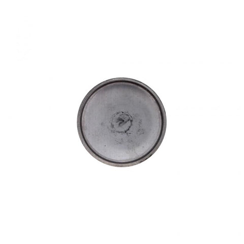 Cup Plug Genuine Pai 040091