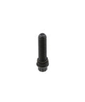 Assembly Screw Genuine Pai 040122