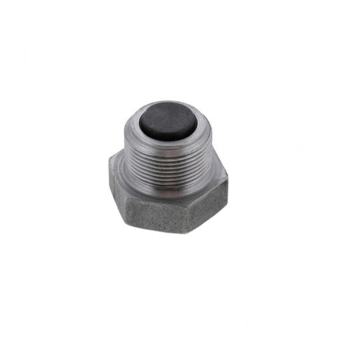 Drain Plug Genuine Pai 042010