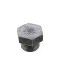 Drain Plug Genuine Pai 042010