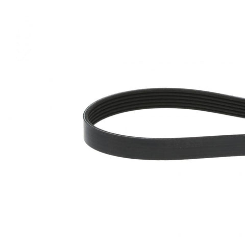 Serpentine Belt Genuine Pai 050488