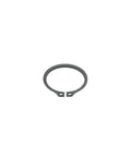 Retaining Ring Genuine Pai 111081