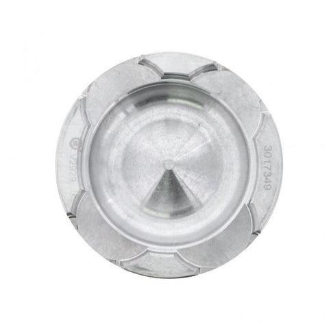 Piston Genuine Pai 111109