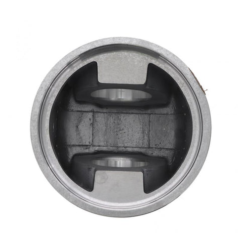 Piston Genuine Pai 111119