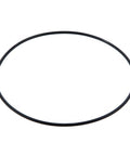 O-Ring Genuine Pai 121389