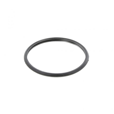 Thermostat Seal Genuine Pai 136095