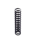 Relief Plunger Spring Genuine Pai 141330