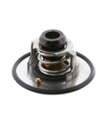Thermostat Kit Genuine Pai 181866