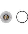 Thermostat Kit Genuine Pai 181866