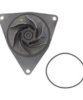 Water Pump Assembly Genuine Pai 181949