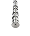 Non-Flanged Camshaft Assembly Excel 191929E