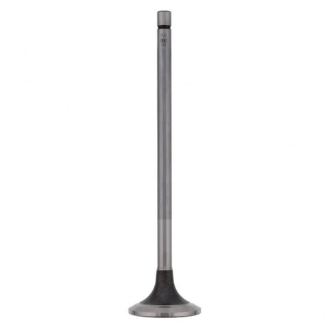 Exhaust Valve Genuine Pai 191959