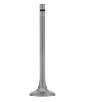 Intake Valve Genuine Pai 191976