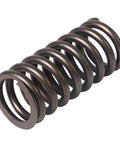 Valve Spring Genuine Pai 192047