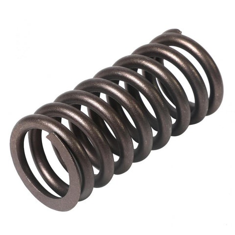 Valve Spring Genuine Pai 192047
