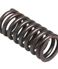 Valve Spring Genuine Pai 192047