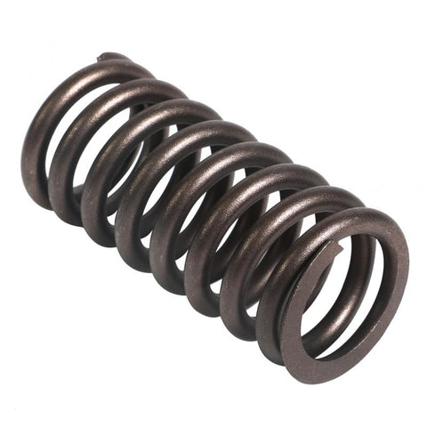 Valve Spring Genuine Pai 192047