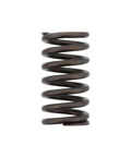 Valve Spring Genuine Pai 192052