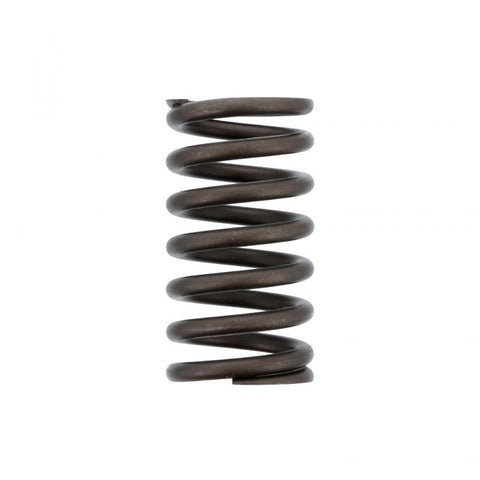 Valve Spring Genuine Pai 192052
