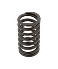 Valve Spring Genuine Pai 192052