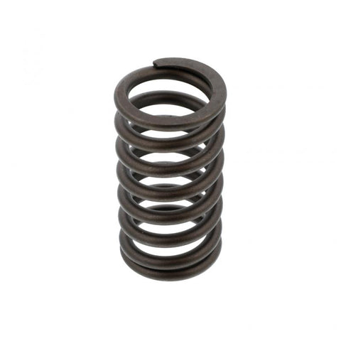 Valve Spring Genuine Pai 192052