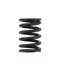 Valve Spring Genuine Pai 192053