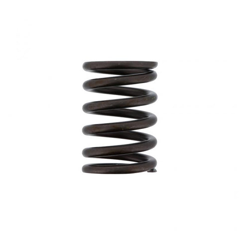 Valve Spring Genuine Pai 192053