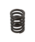 Valve Spring Genuine Pai 192053