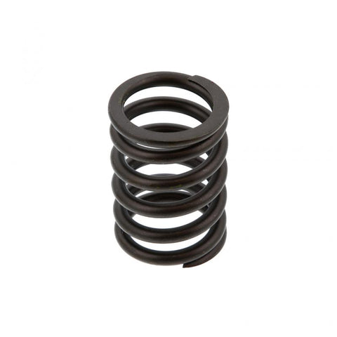 Valve Spring Genuine Pai 192053