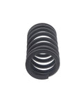 Valve Spring Genuine Pai 192135