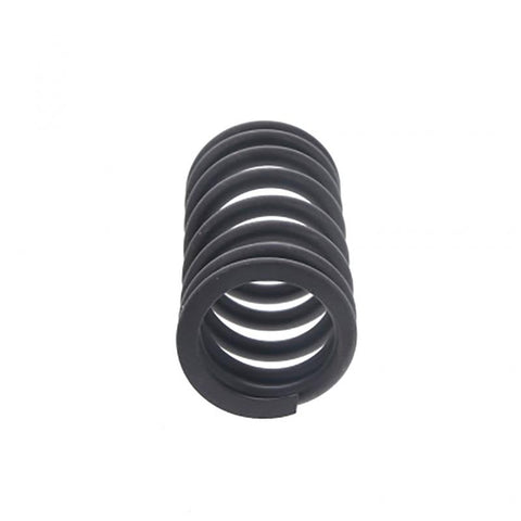 Valve Spring Genuine Pai 192135