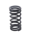 Valve Spring Genuine Pai 192135