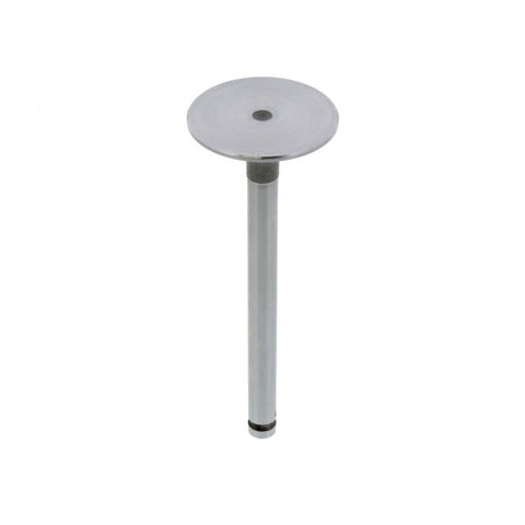 Exhaust Valve Genuine Pai 192139