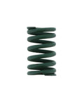 Valve Spring Genuine Pai 192184