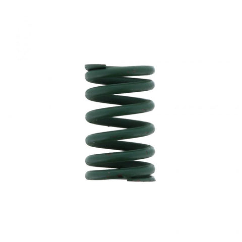 Valve Spring Genuine Pai 192184