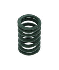 Valve Spring Genuine Pai 192184
