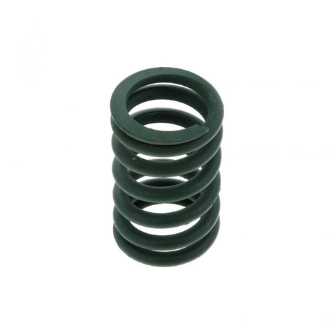 Valve Spring Genuine Pai 192184