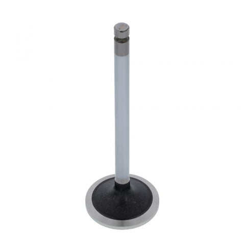 Exhaust Valve Genuine Pai 192213