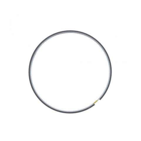 Oil Control Piston Ring Genuine Pai 305008