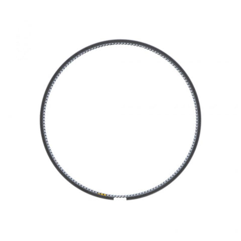 Oil Control Piston Ring Genuine Pai 305009