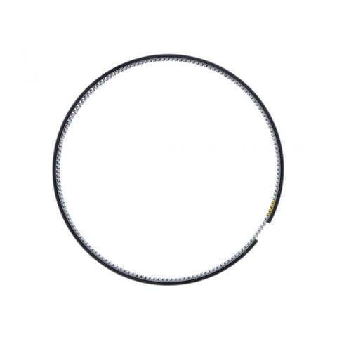 Oil Control Piston Ring Genuine Pai 305049