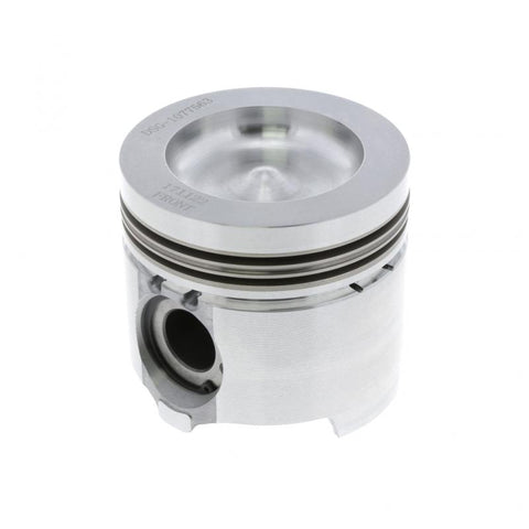 Piston Kit Genuine Pai 311173