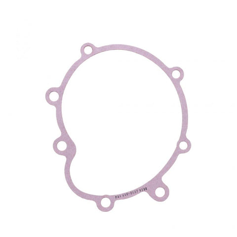 Water Pump Gasket Genuine Pai 331631